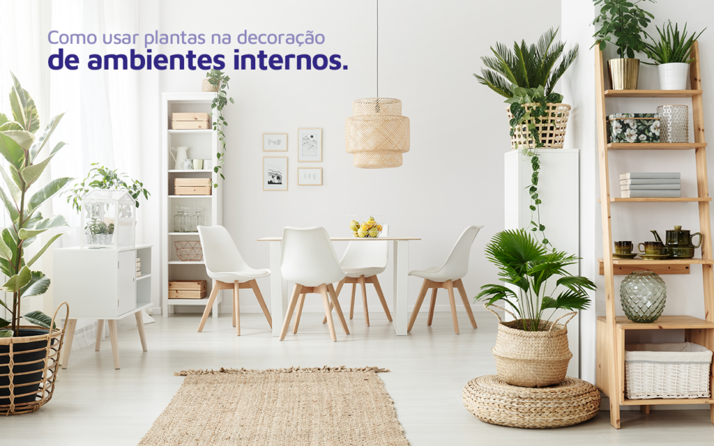 Como usar plantas na decoração de ambientes internos